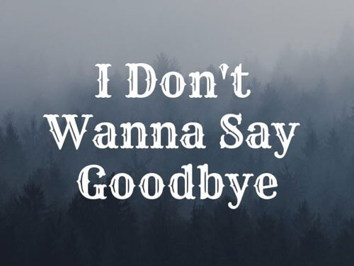 Idontwannasaygoodbye